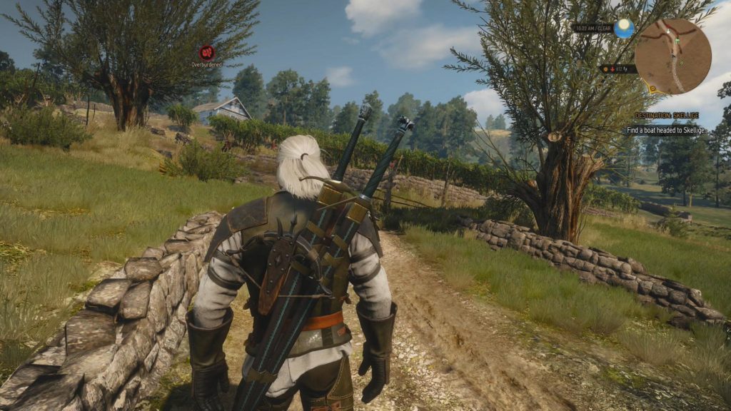 witcher 3 overburdened