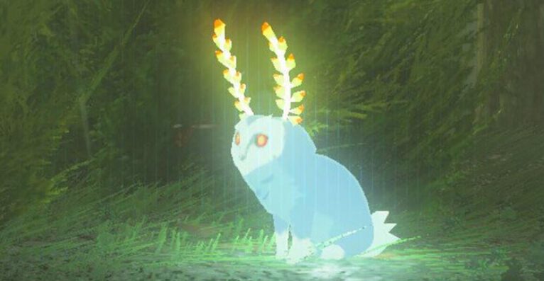 Rupie Zelda Breath Of The Wild