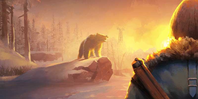 the long dark custom codes